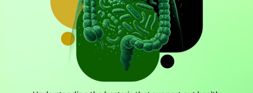 Probiotics for Gut Health Understanding the Bacteria That Support Digestion Probiotics for Gut Health Understanding the Bacteria That Support Digestion